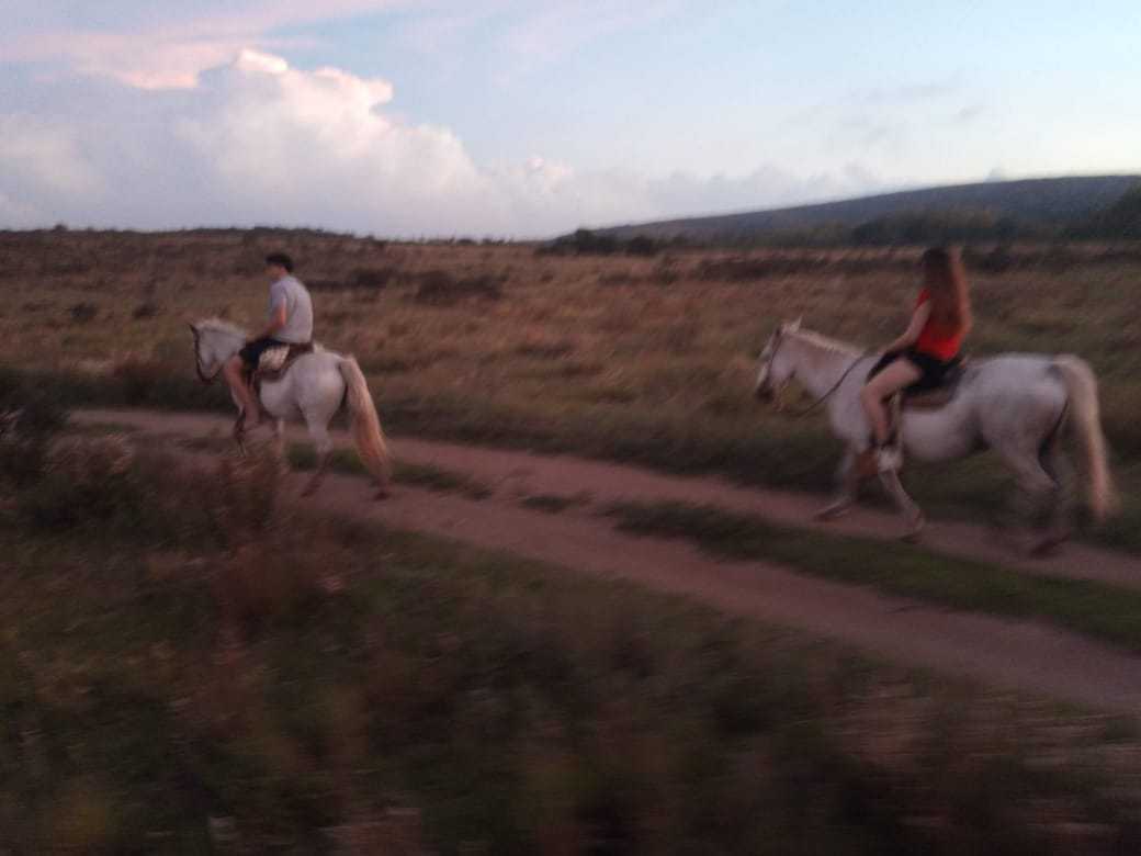 Dos jinetes en un camino de tierra al caer la tarde